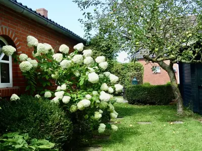 Ferienhaus für 4 Personen (85 m²) in Krummhörn 6/10