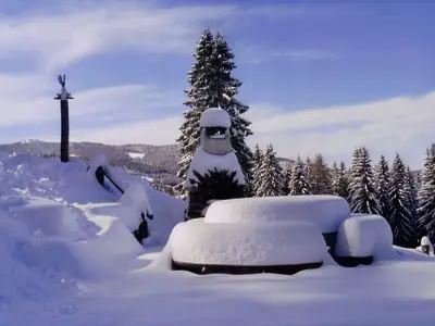 Ferienhaus für 6 Personen (120 m²) in Preitenegg 4/10
