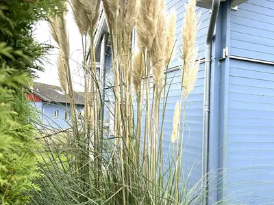 Ferienhaus für 6 Personen (84 m²) in Süssau (Heringsdorf) 2/10