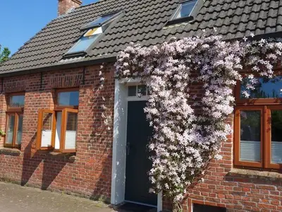 Ferienhaus für 4 Personen (85 m²) in Emden 2/10