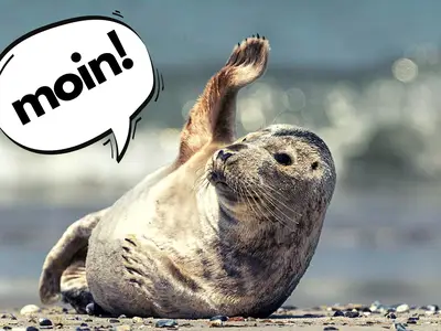 Ferienhaus für 3 Personen (90 m²) in Sylt-Ost 1/4