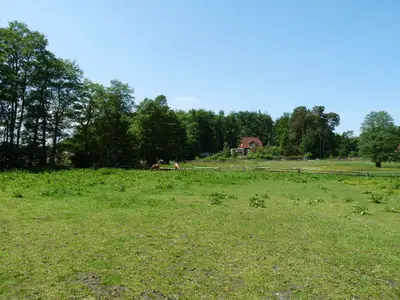 Ferienhaus für 4 Personen (60 m²) in Lenz 9/10