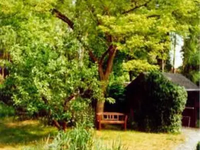 Ferienhaus für 2 Personen (50 m²) in Waren (Müritz) 2/10