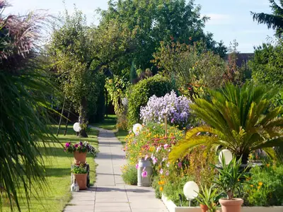 Ferienhaus für 4 Personen (60 m²) in Malchow 6/10