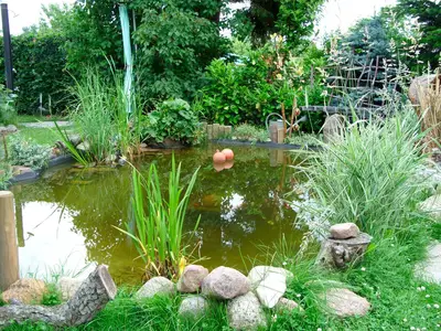 Ferienhaus für 4 Personen (60 m²) in Malchow 7/10