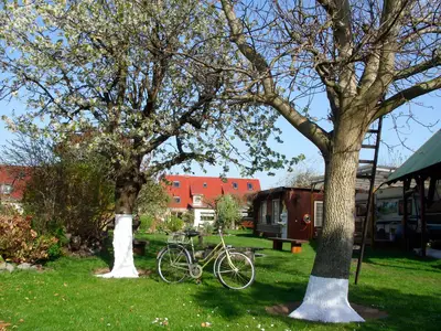 Ferienhaus für 4 Personen (60 m²) in Malchow 8/10