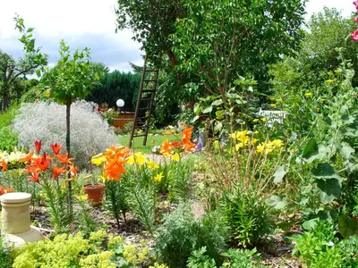 Ferienhaus für 4 Personen (60 m²) in Malchow 10/10