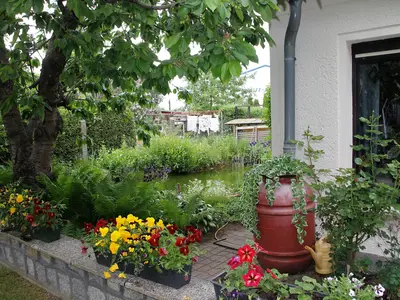 Ferienhaus für 3 Personen (30 m²) in Waren (Müritz) 5/7