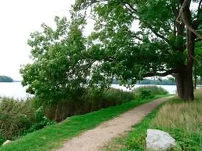 Ferienhaus für 5 Personen (85 m²) in Dabel 8/10