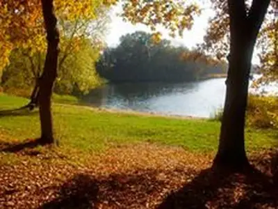 Ferienhaus für 5 Personen (85 m²) in Dabel 9/10