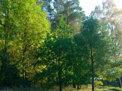 Ferienhaus für 5 Personen (85 m²) in Dabel 10/10