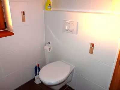 Ferienhaus für 5 Personen (68 m²) in Alt Schwerin 8/10