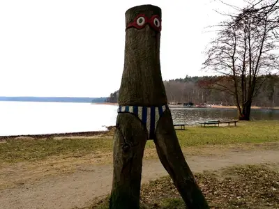 Ferienhaus für 4 Personen (28 m²) in Stechlin 8/10