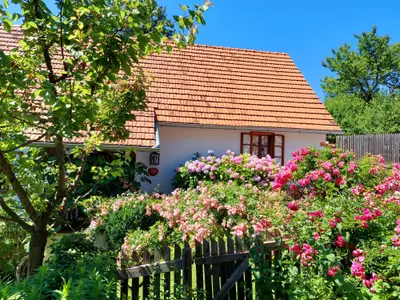 Blütenpracht vorm Kellerstöckl