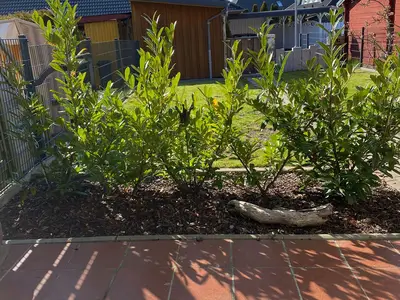 Ferienhaus für 4 Personen (80 m²) in Fehmarn 3/10