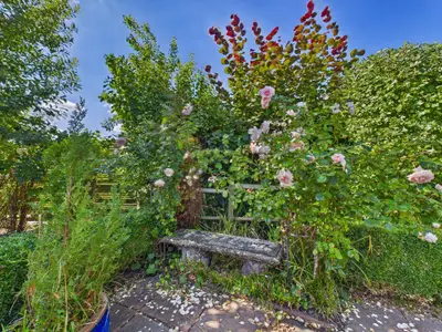 Romantische Rosenbank