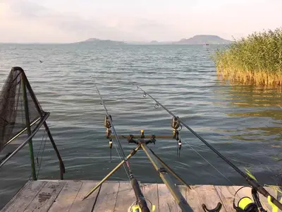 Ferienhaus für 8 Personen (90 m²) in Balatomáriafürdö 5/10