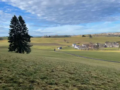 Ferienhaus für 4 Personen (71 m²) in Bonndorf im Schwarzwald 4/10