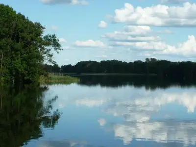 Ferienhaus für 5 Personen (76 m²) in Krakow am See 7/10