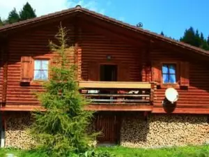 Ferienhaus für 4 Personen (70 m²) in Falkert