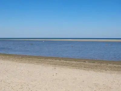 Ferienhaus für 14 Personen (360 m²) in Insel Poel 1/10