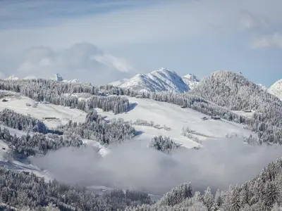 Aussicht vom Ferienhaus [Winter]