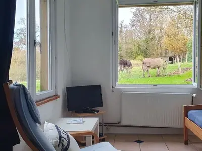 Ferienhaus für 6 Personen (54 m²) in Ver 3/10