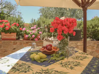 Ferienhaus für 5 Personen (120 m²) in Castelnuovo Berardenga 7/10