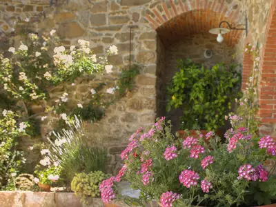 Ferienhaus für 5 Personen (120 m²) in Castelnuovo Berardenga 8/10