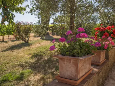 Ferienhaus für 5 Personen (120 m²) in Castelnuovo Berardenga 9/10