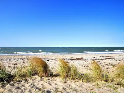 Ferienhaus für 4 Personen (33 m²) in Fehmarn / Altenteil 6/10