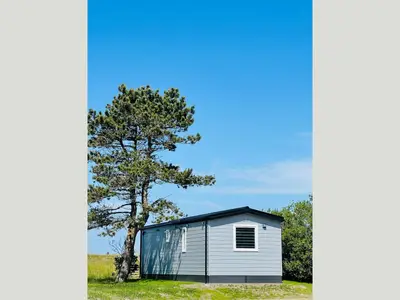 Ferienhaus für 4 Personen (33 m²) in Fehmarn / Altenteil 5/10