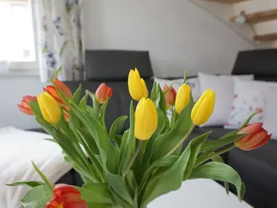 Ferienhaus für 4 Personen (97 m²) in Zierow 9/10