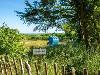 Ferienhaus für 8 Personen (288 m²) in Witsum 8/10