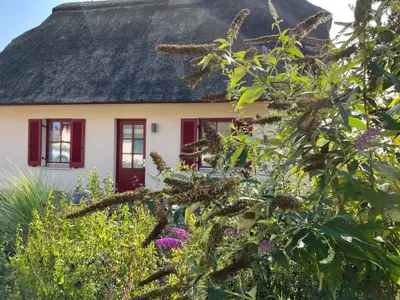 Ferienhaus für 3 Personen (78 m²) in Zierow 1/10