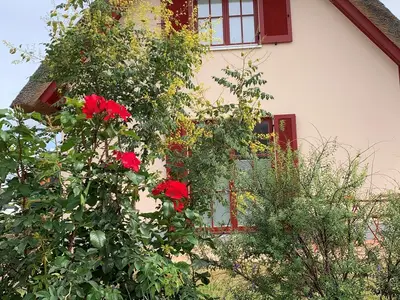 Ferienhaus für 3 Personen (78 m²) in Zierow 8/10