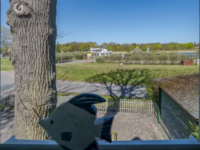 Ferienhaus für 4 Personen (53 m²) in Prerow 10/10