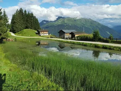 Screenshot_20210803-043734_WhatsApp