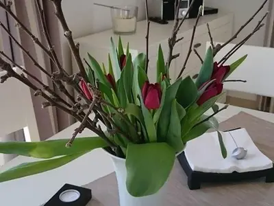 Ferienhaus für 4 Personen (86 m²) in Zierow 5/10