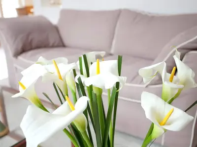 Ferienhaus für 3 Personen (110 m²) in Sellin (Ostseebad) 8/10