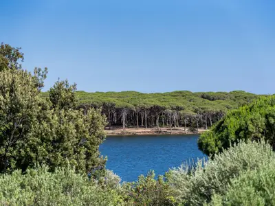 Ferienhaus für 4 Personen (95 m²) in Orosei 5/10