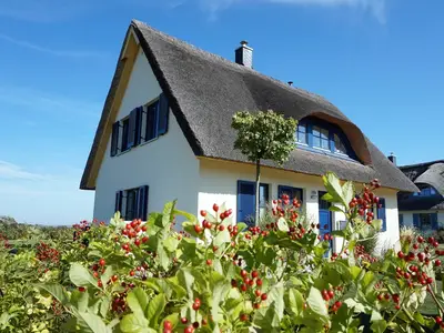 Ferienhaus für 6 Personen (124 m²) in Zierow 3/10