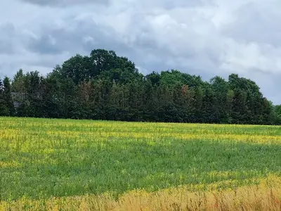 Ferienhaus für 3 Personen (78 m²) in Zierow 9/10