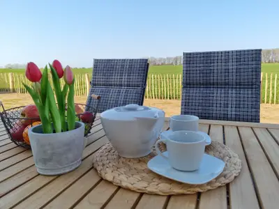 Ferienhaus für 6 Personen (98 m²) in Zierow 5/10