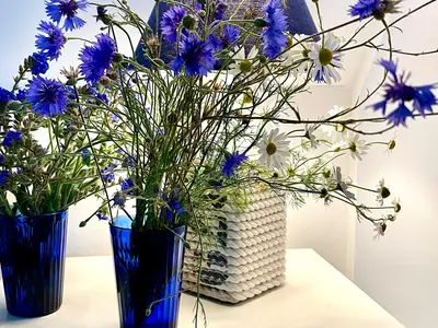 Ferienhaus für 4 Personen (86 m²) in Zierow 4/10