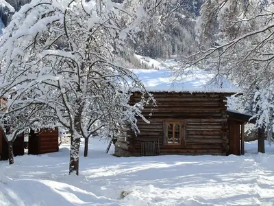 Ferienhaus für 3 Personen (30 m²) in Döllach 2/10