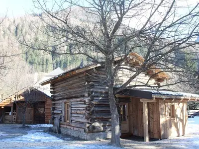 Ferienhaus für 3 Personen (30 m²) in Döllach 3/10