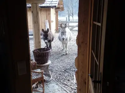 Ferienhaus für 3 Personen (30 m²) in Döllach 6/10