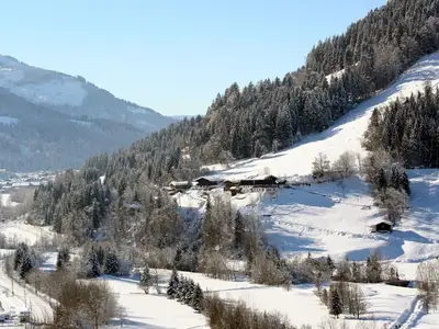 Ferienhaus für 6 Personen (125 m²) in Reith bei Kitzbühel 8/10