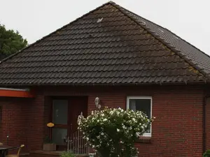 Ferienhaus für 4 Personen (80 m²) in Augustgroden